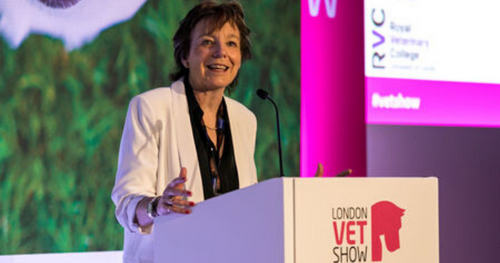 Vet Show Global Series—Backstage with Professor Jill Maddison